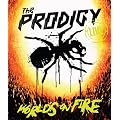 Worlds on Fire