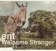 Welcome Stranger