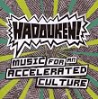 Music for an Accelerated Culture