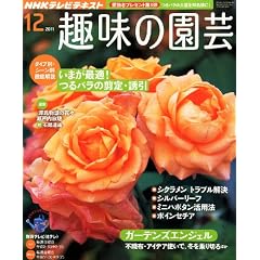 NHK ��̉��| 2011�N 12���� [�G��]