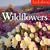 Audubon Wildflowers 2009 Calendar (Wall Calendars)