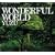 WONDERFUL WORLD(��������)(DVD�t)
