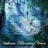 Blooming Voices