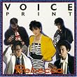VOICE PRINT(���W���P�b�g�d�l)