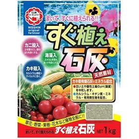 ���� �����A���ΊD 1kg