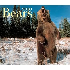 Bears 2010 Calendar