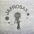 JAFROSAX