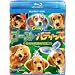�S�[�X�g�E�o�f�B�[�Y/������5�C�̑�`�� �u���[���C+DVD�Z�b�g [Blu-ray]