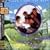�X�c����ƃg�b�v�M������ ~GOLDEN J-POP / THE BEST