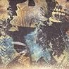 コンヴァージのアルバムの画像