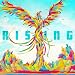 RISING(��������)(DVD�t)