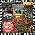 Extreme Conditions Demand Extreme Responses