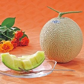 �É��������_�Ƌ����g���@�É��N���E��������