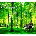 PIANO DANCE2 / The Standard Club