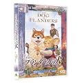 ����� �t�����_�[�X�̌� [DVD]