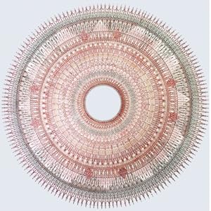 【クリックで詳細表示】Walden Pond’s Monk [Analog] [Import， from US]