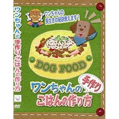 ���������̎��育�͂�̍��� [DVD]