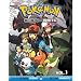 Pokmon Black and White, Vol. 1