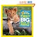 National Geographic Little Kids First Big Book of Animals