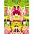 �Έ����i��i�W DVD-BOX II ~PSYCHEDELIC YEARS~