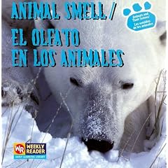 Animal Smell / El Olfato En Los Animales: El Olfato En Los Animales (Animals and Their Senses / Los Sentidos De Los Animales)