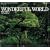 WONDERFUL WORLD