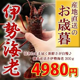 �ɐ��C�V ���Ε邨�N��p�������Y���ɐ��C�V(�C�Z�G�r)�Z�b�g300g(�P~�Q���j�y�Y�n�����z