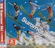 Summer Ski~�k2/4�̗����p�l