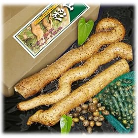 ���R���Ƃނ����̂Pkg �l�����u�R�ʁv�i���ɁE���Ɨp��