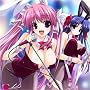 GWAVE 2008 1st Experience �ʏ��