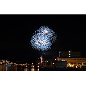 Nikon �f�W�^����჌�t�J���� D5100