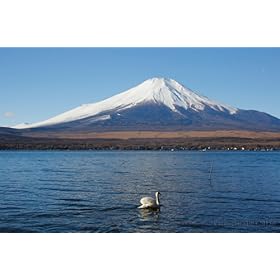 Canon �f�W�^����჌�t�J���� EOS 60D