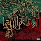 Ashes of the Wake