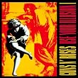 Use Your Illusion 1