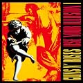 Use Your Illusion 1