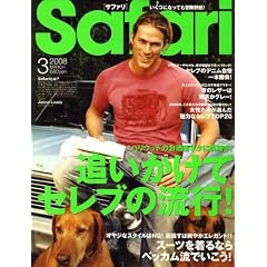 Safari (�T�t�@��) 2008�N 03���� [�G��]
