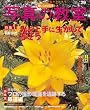 �y�������ڂ���ʐ^�̋��� NO.29 (���{�J����MOOK)