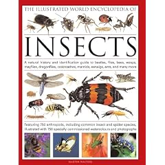 The Illustrated World Encyclopedia of Insects: A Natural History and Identification Guide to Beetles, Flies, Bees, Wasps, Mayflies, Dragonflies, Cockroaches, Damselflies, Cockroaches, Mantids, Earw