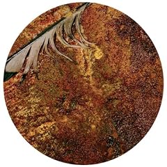 Downward Spiral (Picture Disc) [12 inch Analog]