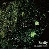 FIRE FLY