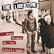 LIKELY LADS~JAPAN ONLY �~�j�E�A���o��