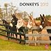 Donkeys 2012 Calendar