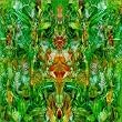 Emerald Aether-Shape Shifting-