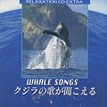 WHALE SONGS �N�W���̉̂���������