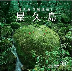 ���v��(DVD�t)