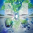 Metamorphose 2010 Official compilation METAMORPHOSE2010