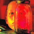 Jar of Flies / Sap