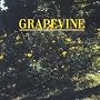 �w�� / COME ON(DVD�t) [Single] [Limited Edition] ~ GRAPEVINE