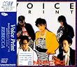 VOICE PRINT