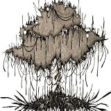 [CD]THE NOVEMBERS picnic